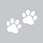 buddy belts testimonial Jabba