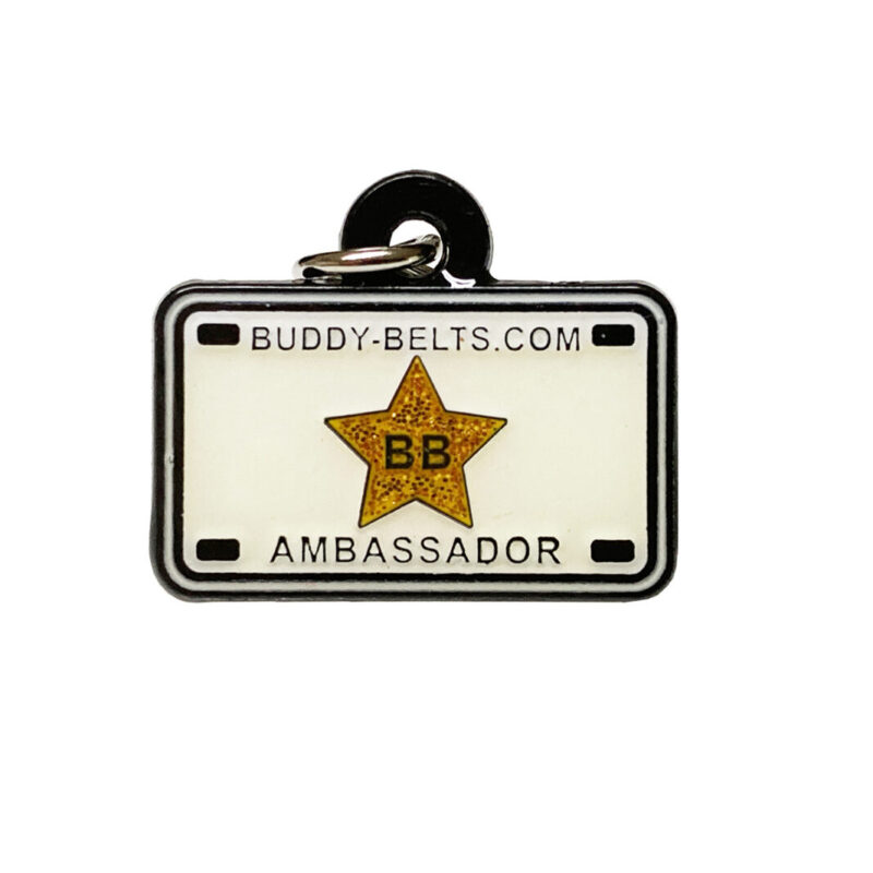 buddy-belts-ambassador-charm-gold-1