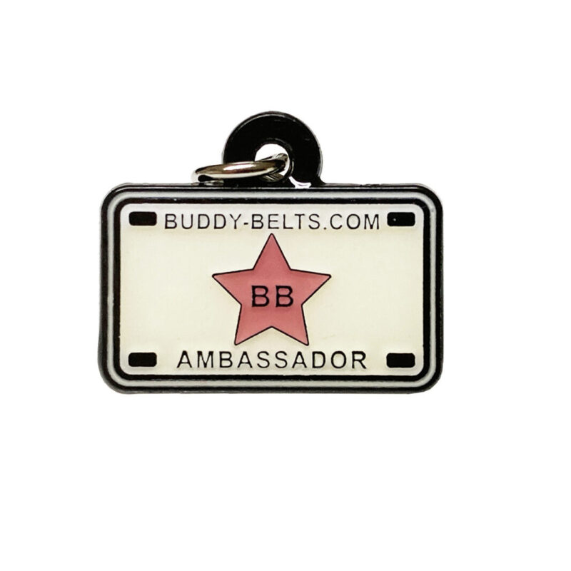 buddy-belts-ambassador-charm-pink-1