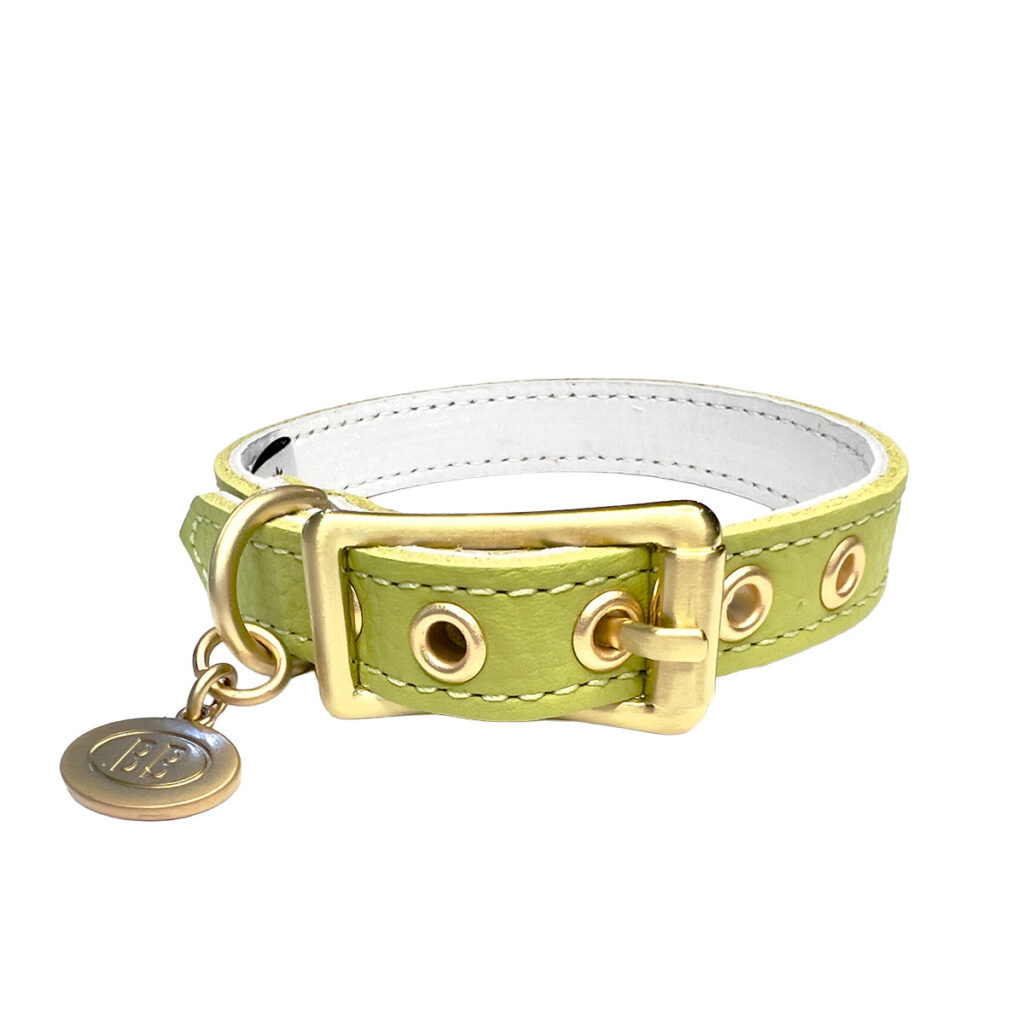 buddy-belts-collar-limited-pistachio
