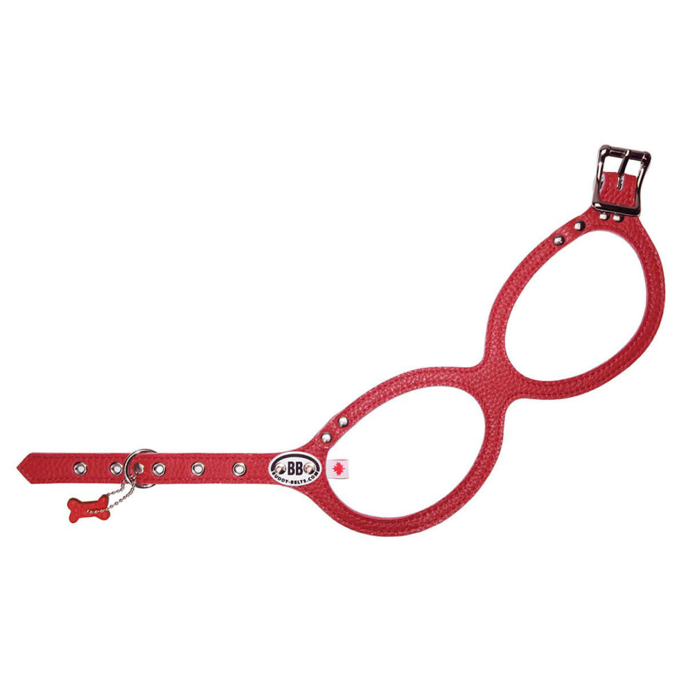 Buddy Belt, Khaki, Red, Navy