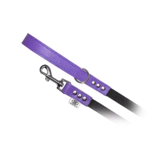 Liquidation Nylon Accent Leashes