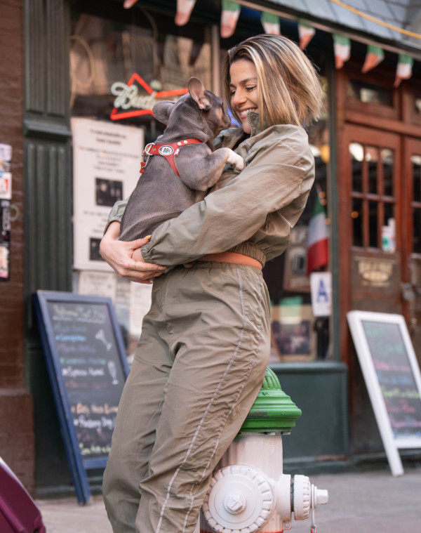 buddy-belts-our-products-animal-welfare