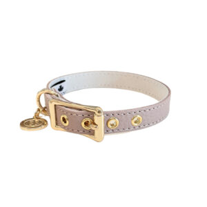 buddy-belts-collar-limited-latte