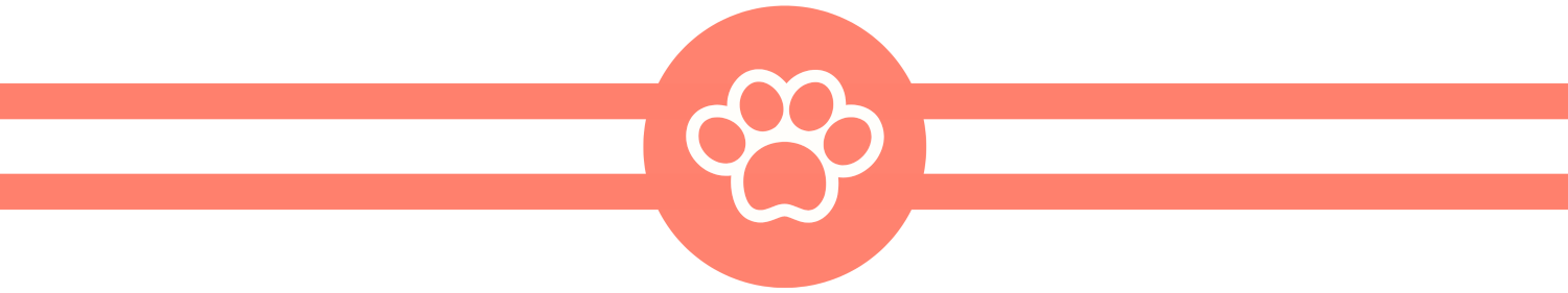 buddy-belts-crusoe-paw-banner