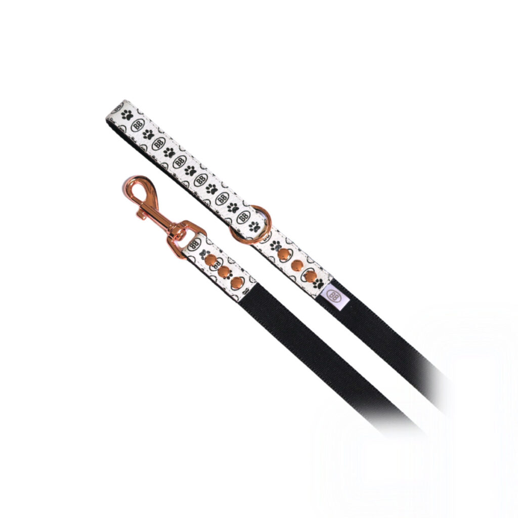 buddy-belts-nylon-accent-leash-three-quartner-inch-signature-blanc