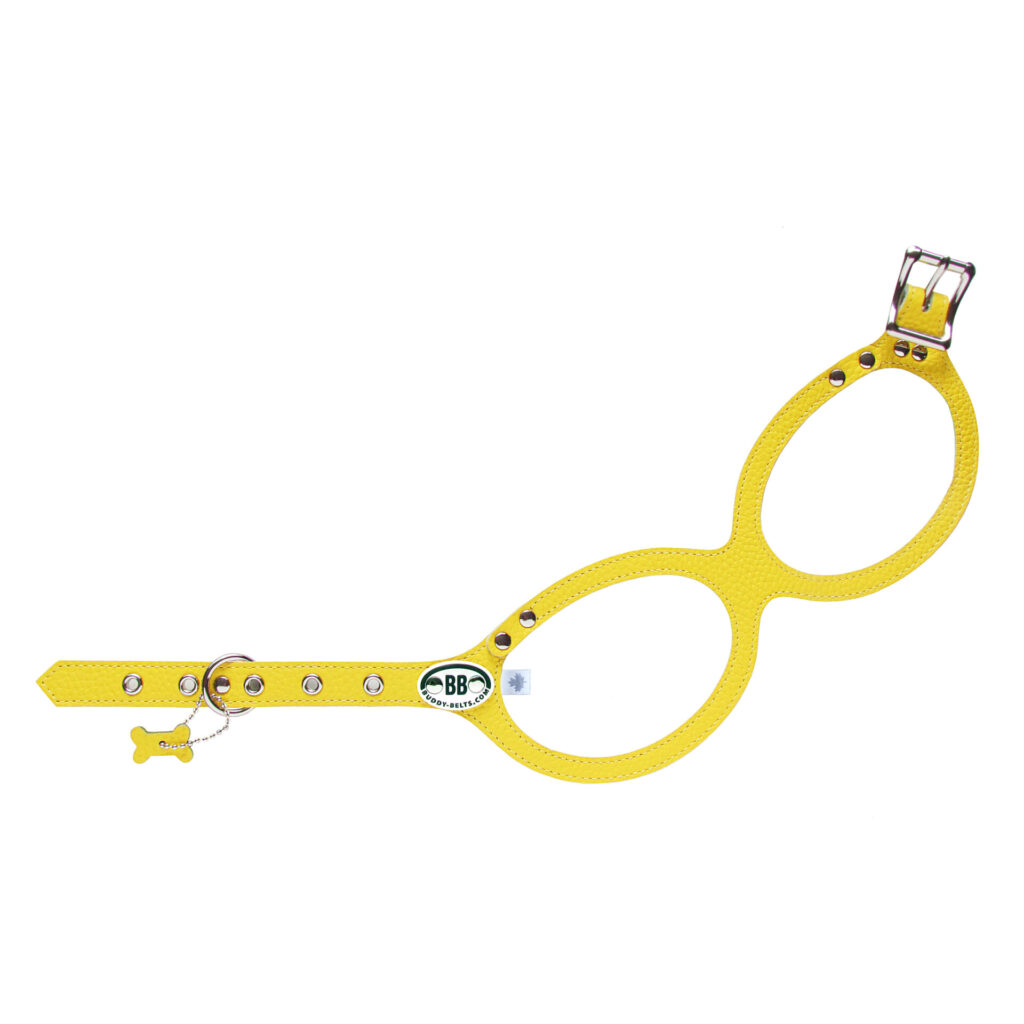 buddy belts harness limited canary