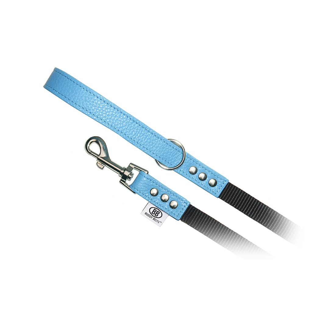 buddy-belts-nylon-accent-leash-blue-344