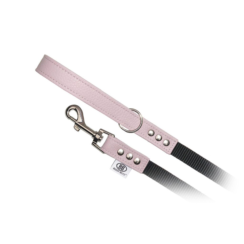 buddy-belts-nylon-accent-leash-pink-344