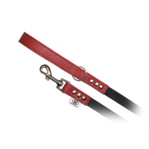 buddy-belts-nylon-accent-leash-red-344