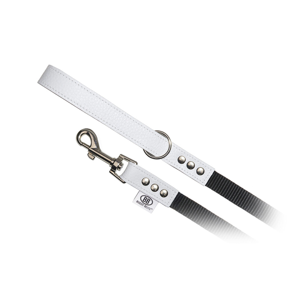 buddy-belts-nylon-accent-leash-whitecap-344