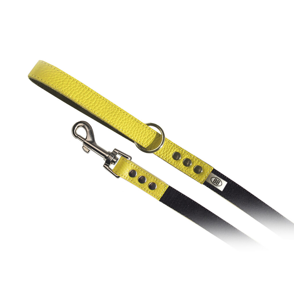 buddy belts nylon leash three quarter inch limited canary