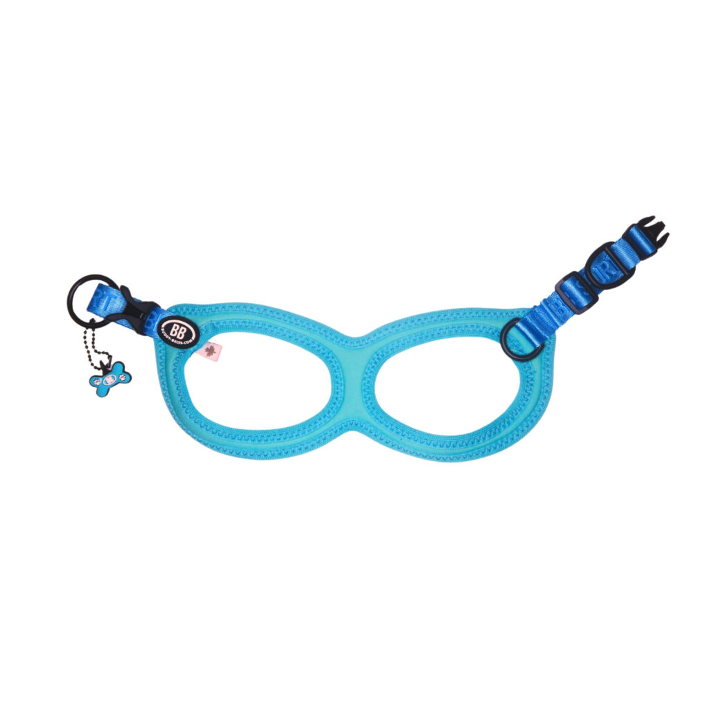 buddy-belts-sport-harness-vibrant-kingfisher