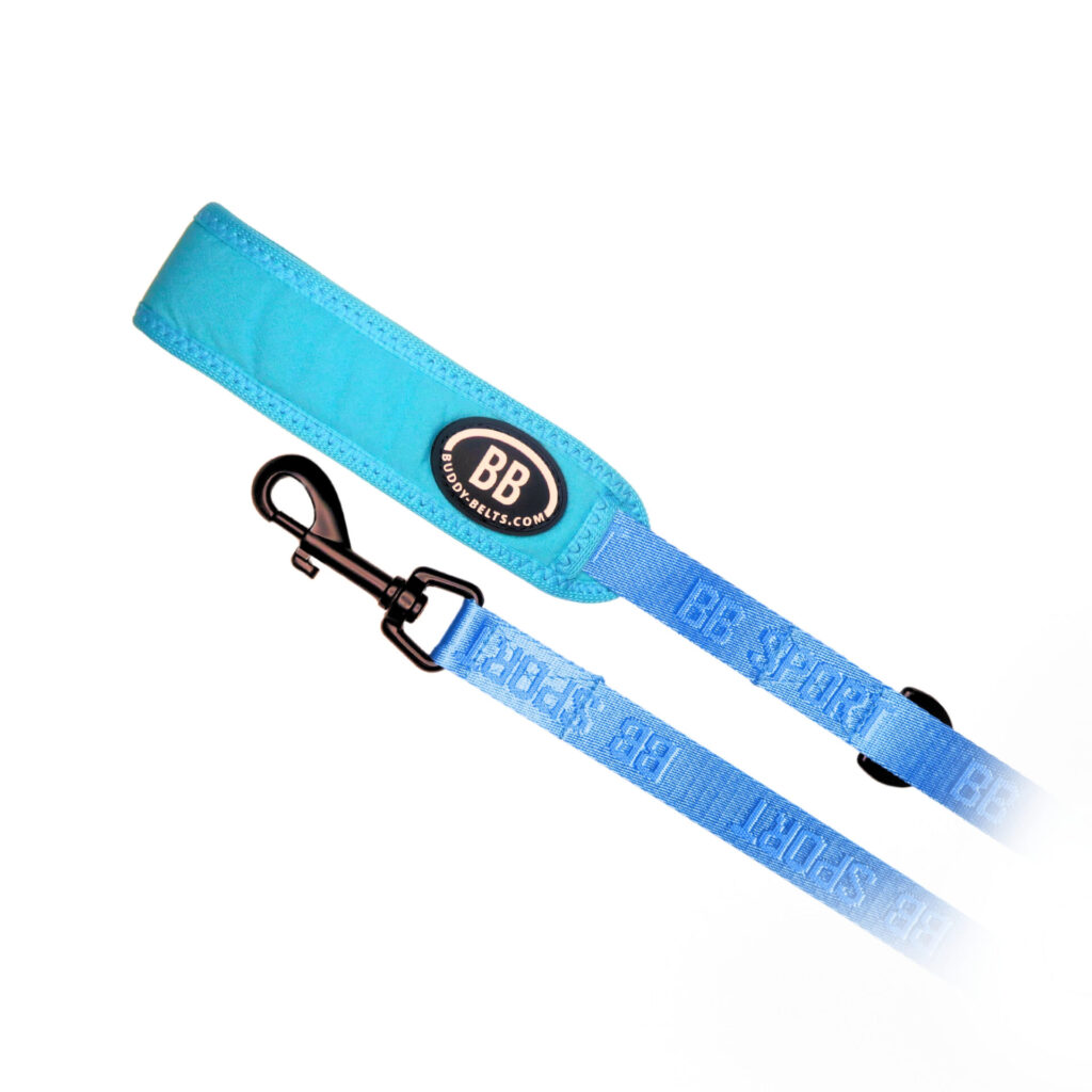 buddy-belts-sport-leashes-three-quarter-inch-vibrant-kingfisher