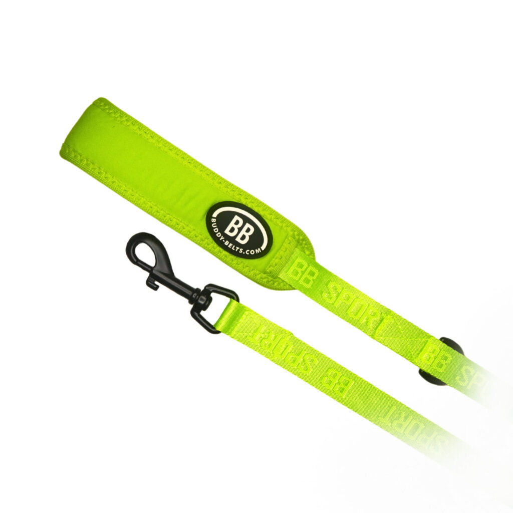 buddy-belts-sport-leashes-three-quarter-inch-vibrant-kiwi