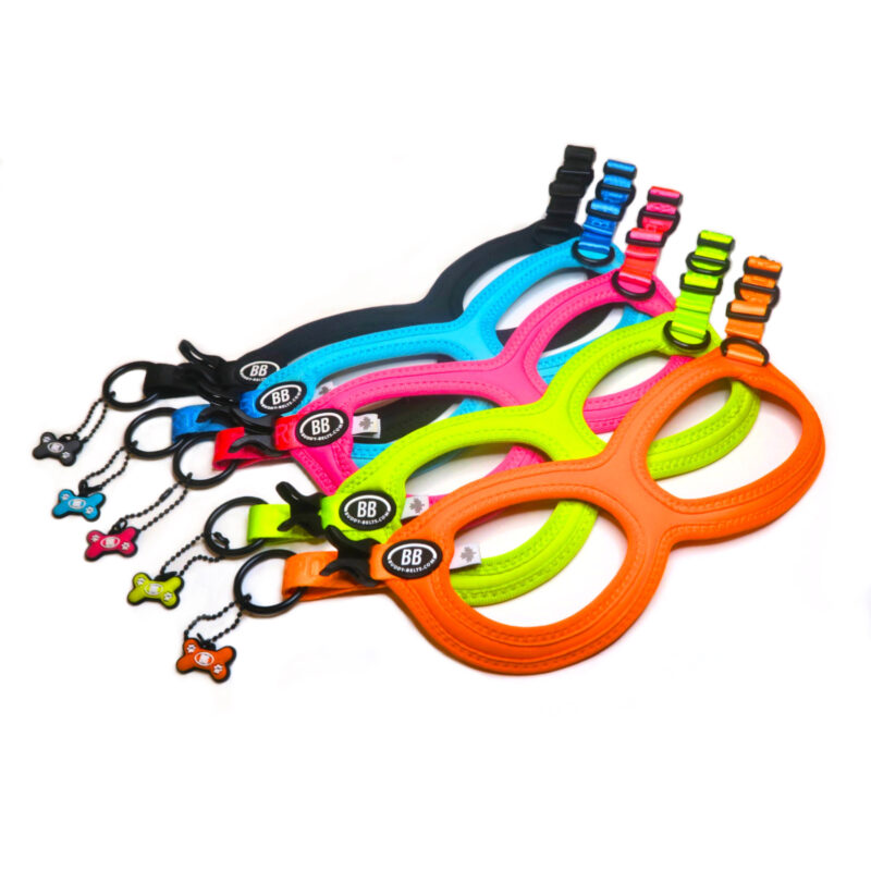 Buddy Belts BB Sport Harnesses Vibrant Collection