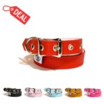 Collars - Liquidation - Smooth Leather