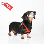 Harnesses - Liquidation - Smooth Leather