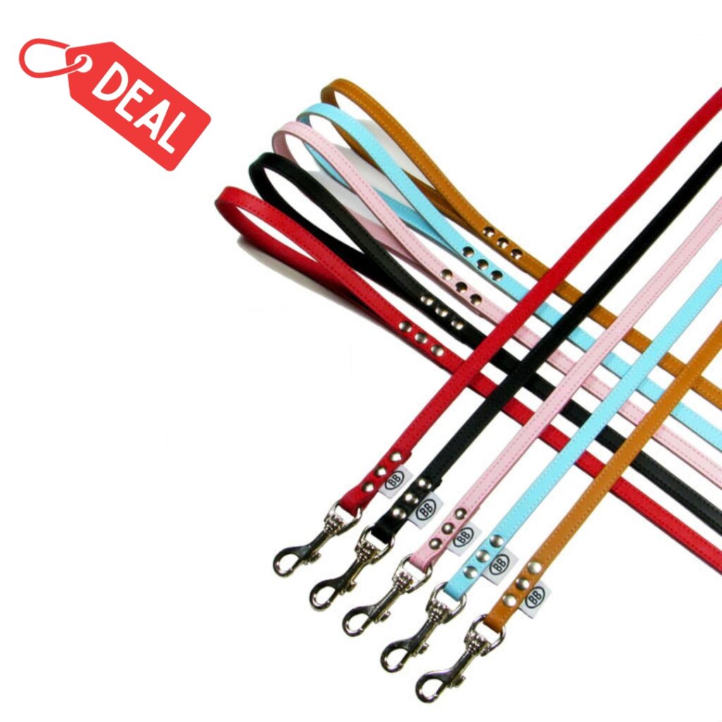 Buddy Belts Liquidation Leather Leashes