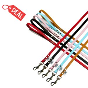 All Leather Leashes - Liquidation - Smooth Leather