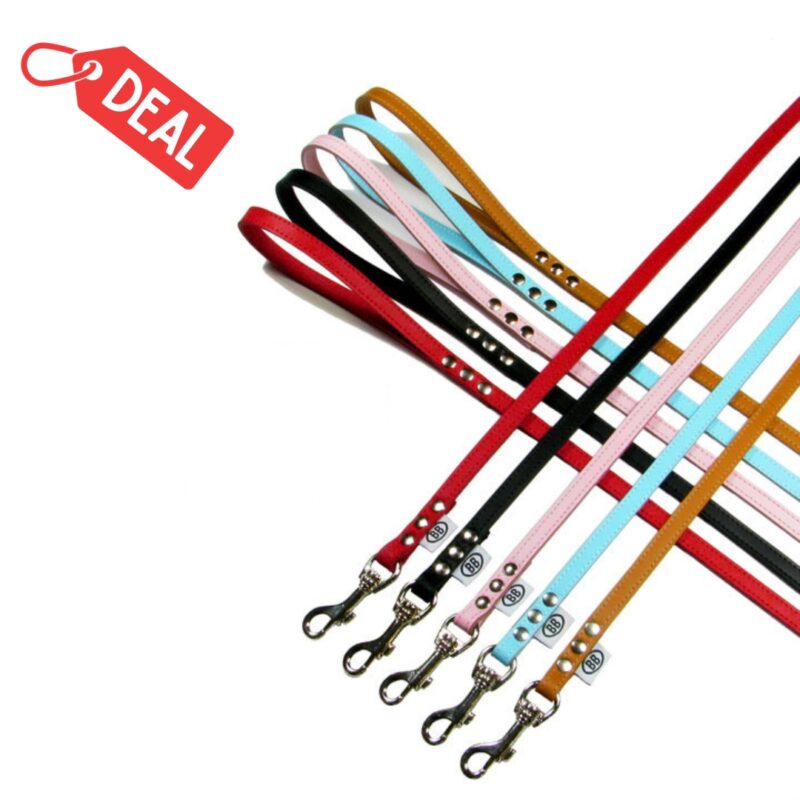 Buddy Belts Liquidation Leather Leashes