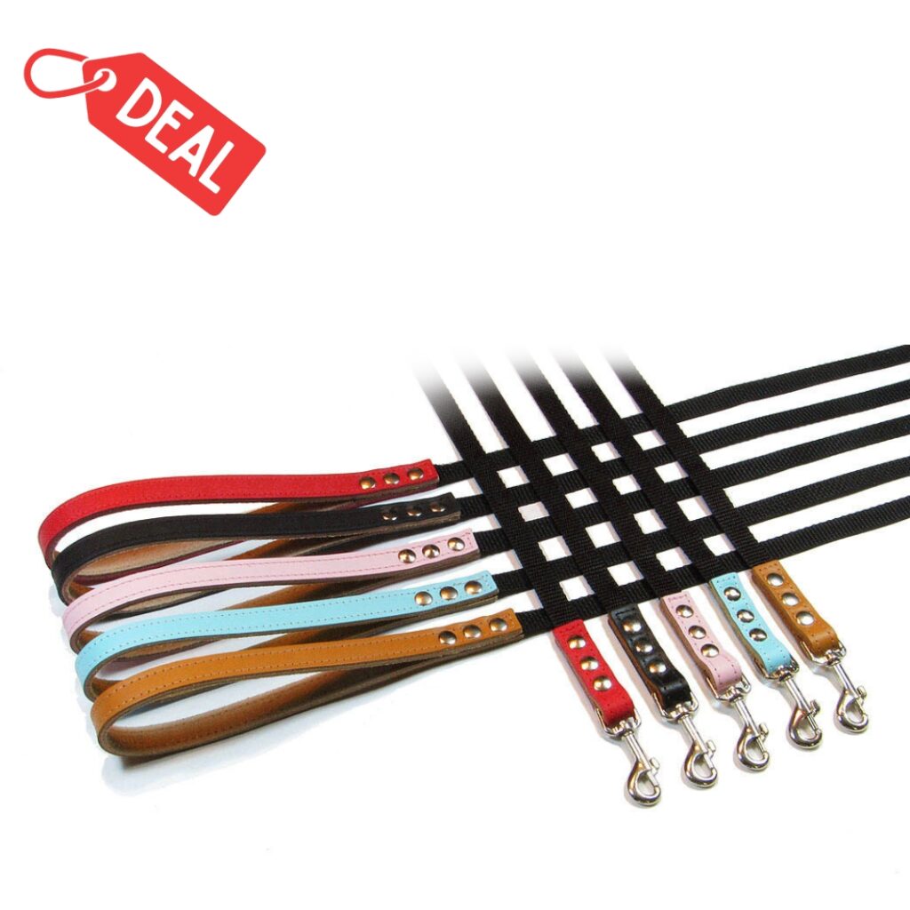 Buddy Belts Liquidation Nylon Leashes