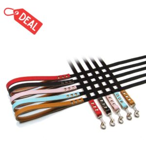 Nylon Accent Leashes - Liquidation - Smooth Leather