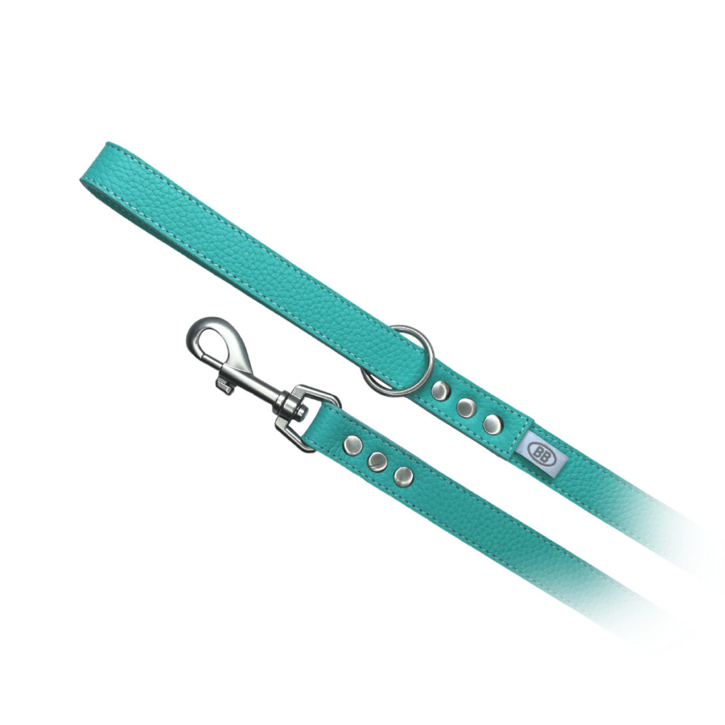 buddy-belts-leather-leash-three-quarter-inch-limited-tiffurny