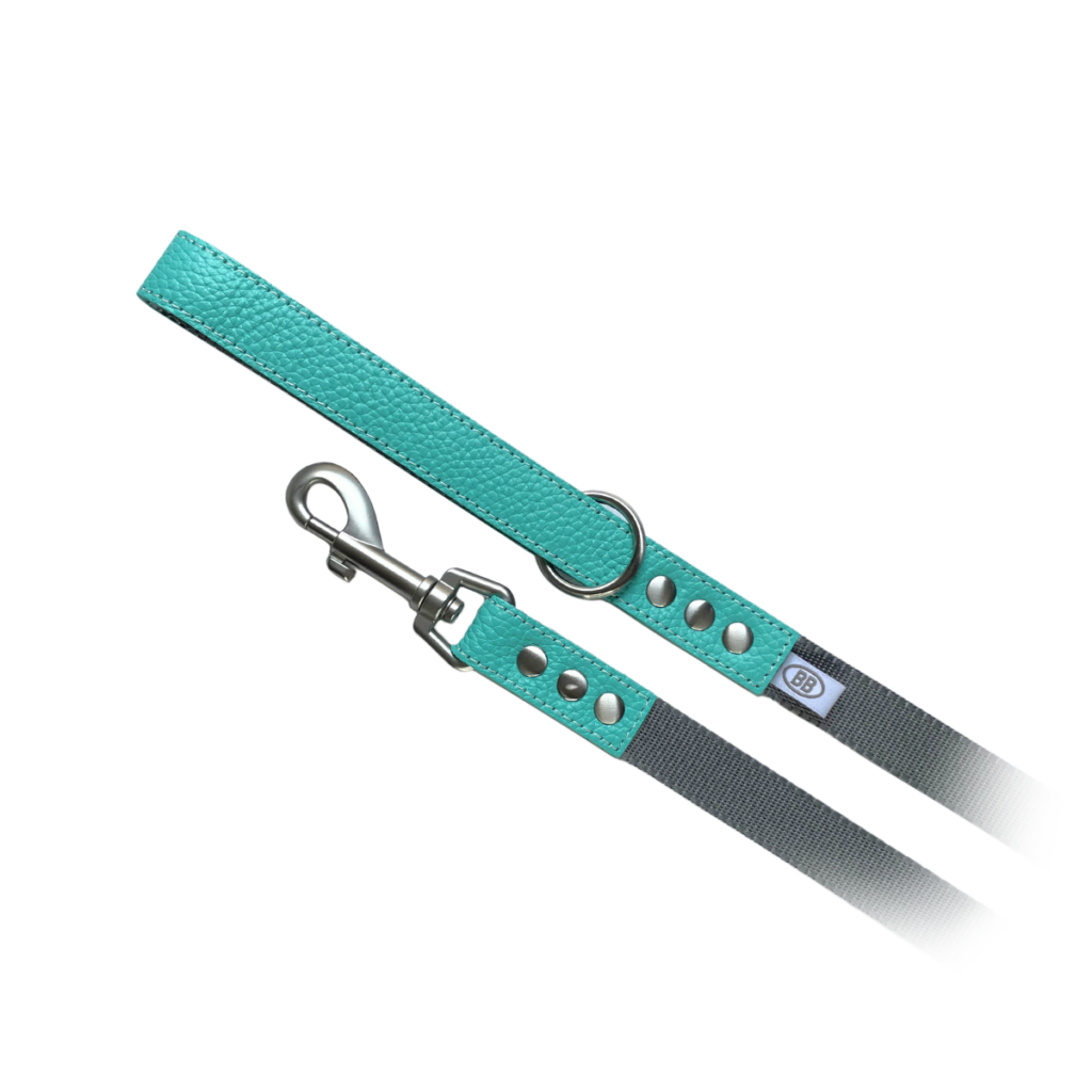 buddy-belts-nylon-leash-three-quarter-inch-limited-tiffurny