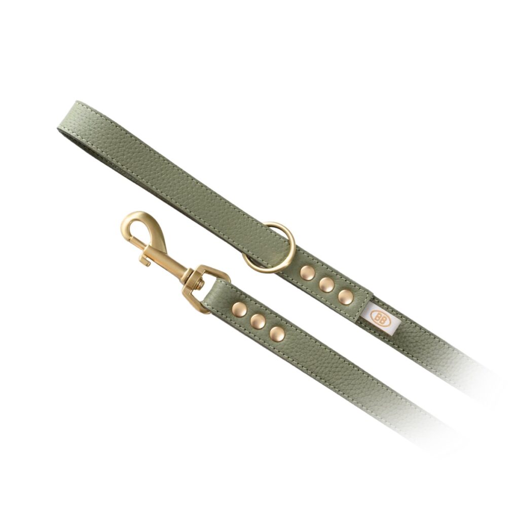 buddy belts leather leash three quarter inch limited sage