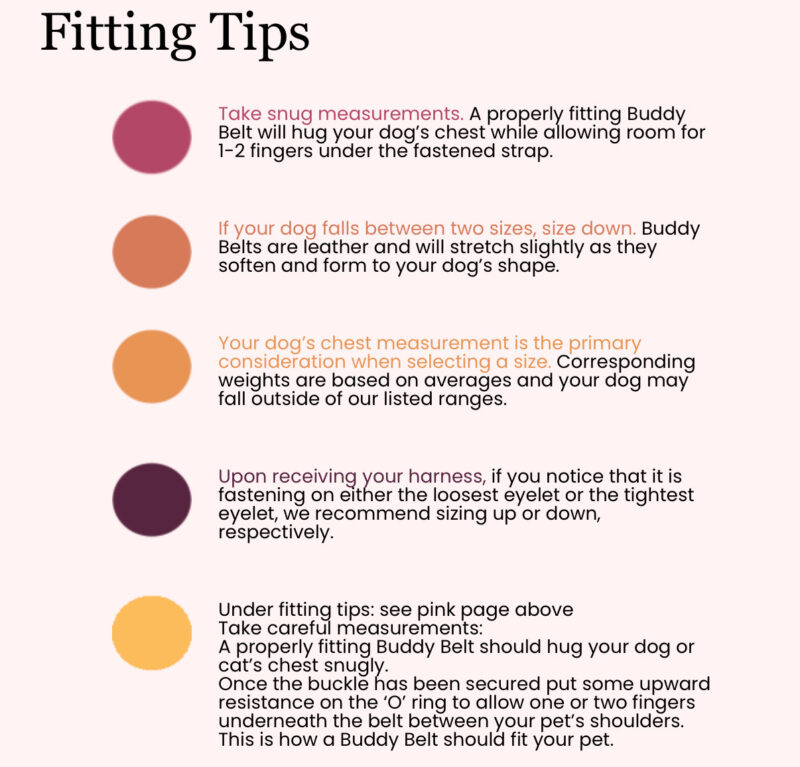 buddy-belt-size-guide-fitting-tips