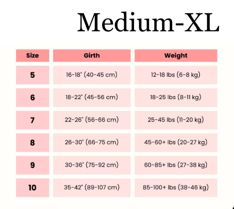 buddy-belt-size-guide-fitting-tips-m-xxl