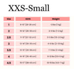 buddy-belt-size-guide-fitting-tips-xxs-s