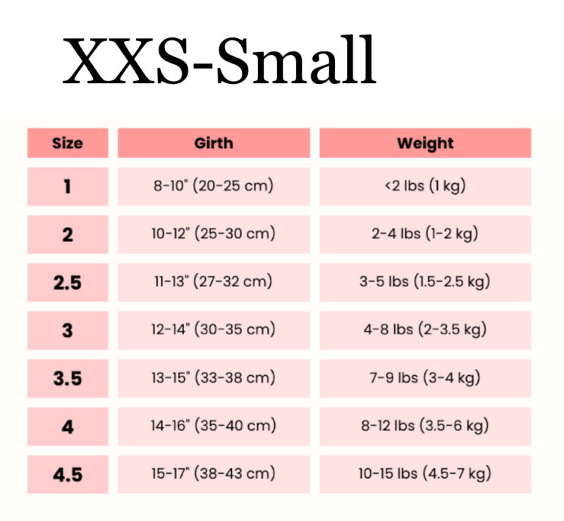 buddy-belt-size-guide-fitting-tips-xxs-s