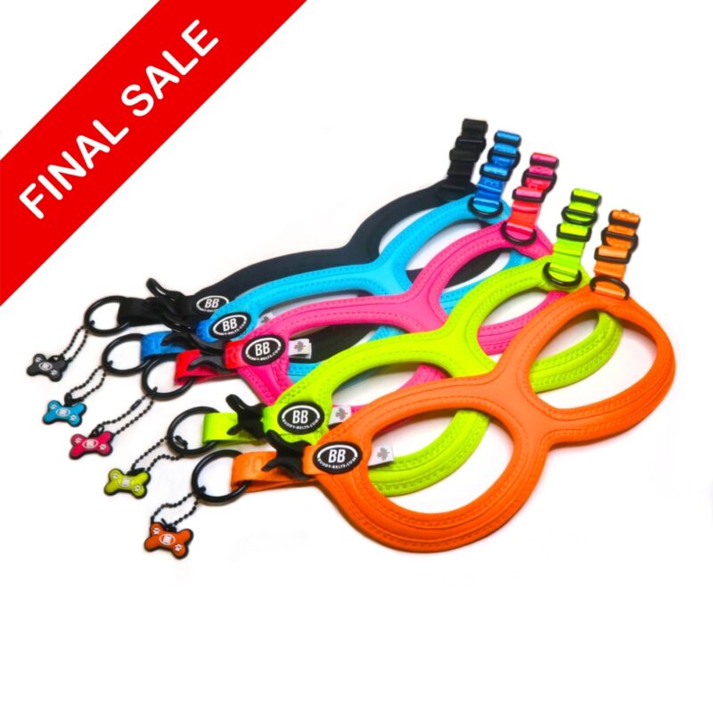 buddy belts liquidation harnesses bb sport vibrant