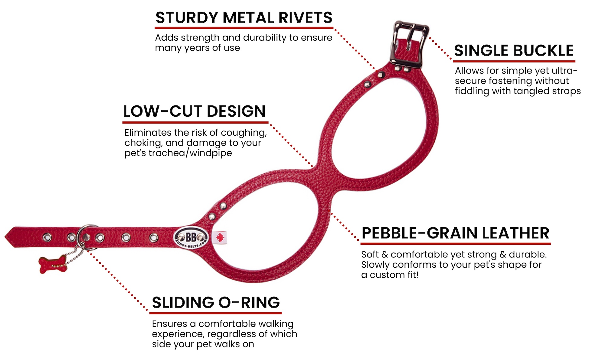 buddy-belts-about-our-products