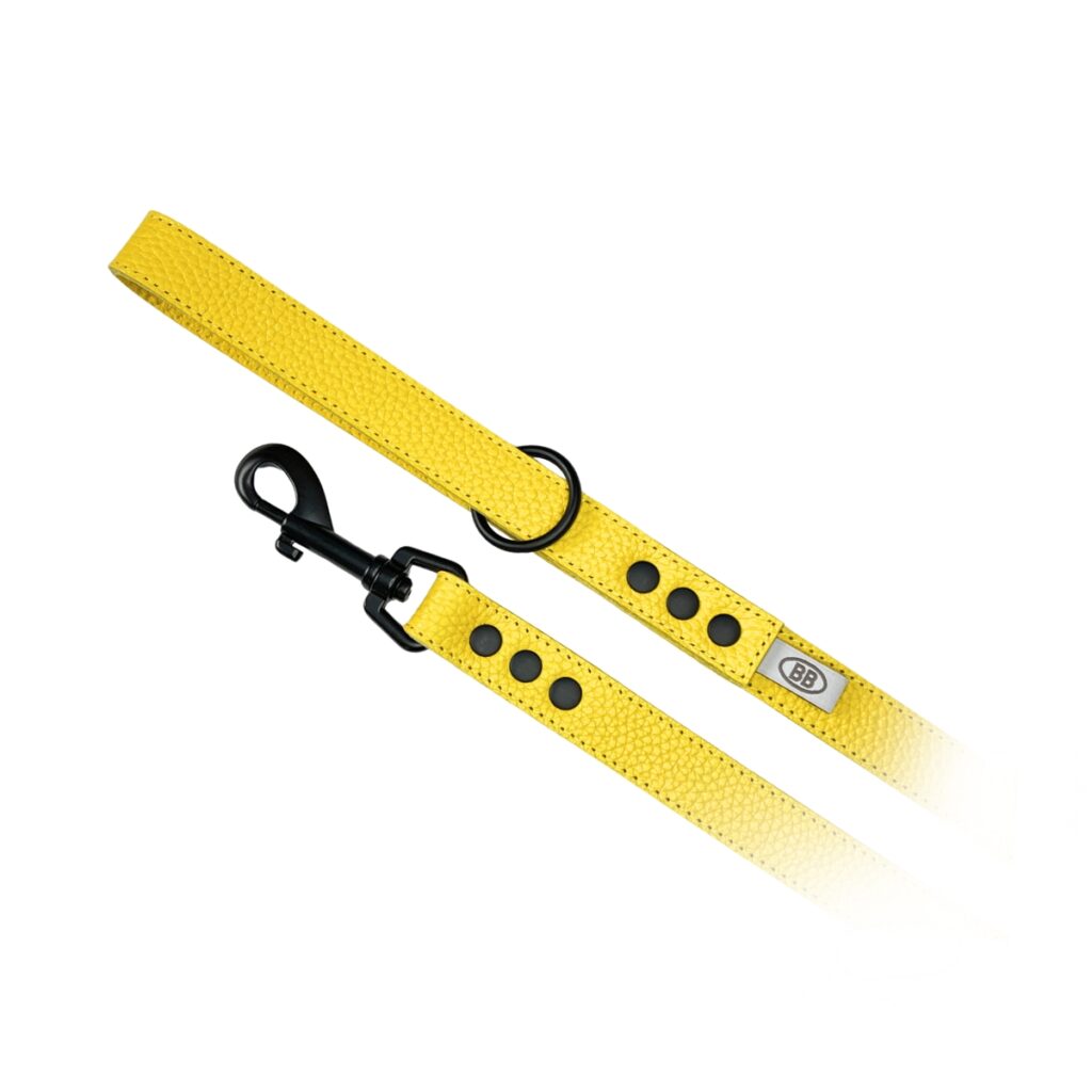 buddy belts leather leash three quarter inch limited bumblebee