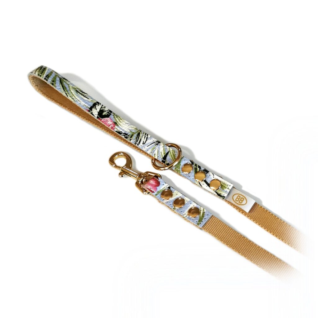 buddy belts nylon accent leash three quarter inch limited buddy bahama