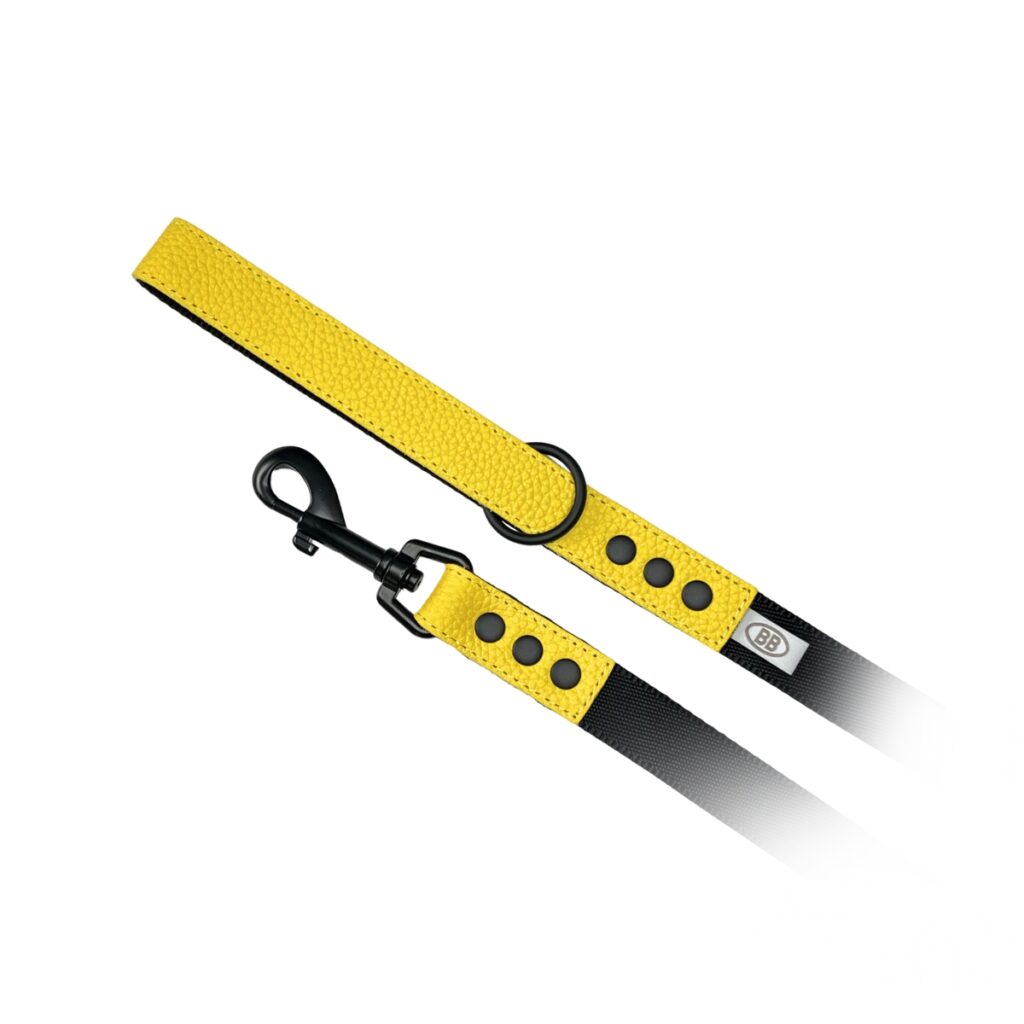 buddy belts nylon leash three quarter inch limited bumblebee