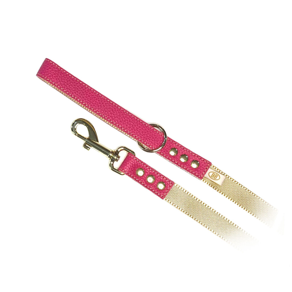 buddy-belts-nylon-accent-leash-three-quarter-inch-limited-imperial-pink