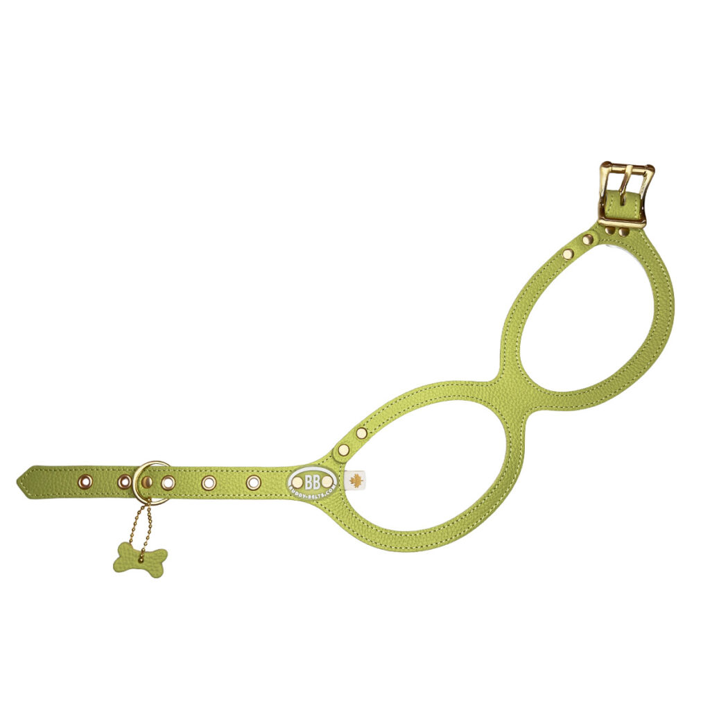 buddy-belts-harness-limited-pistachio