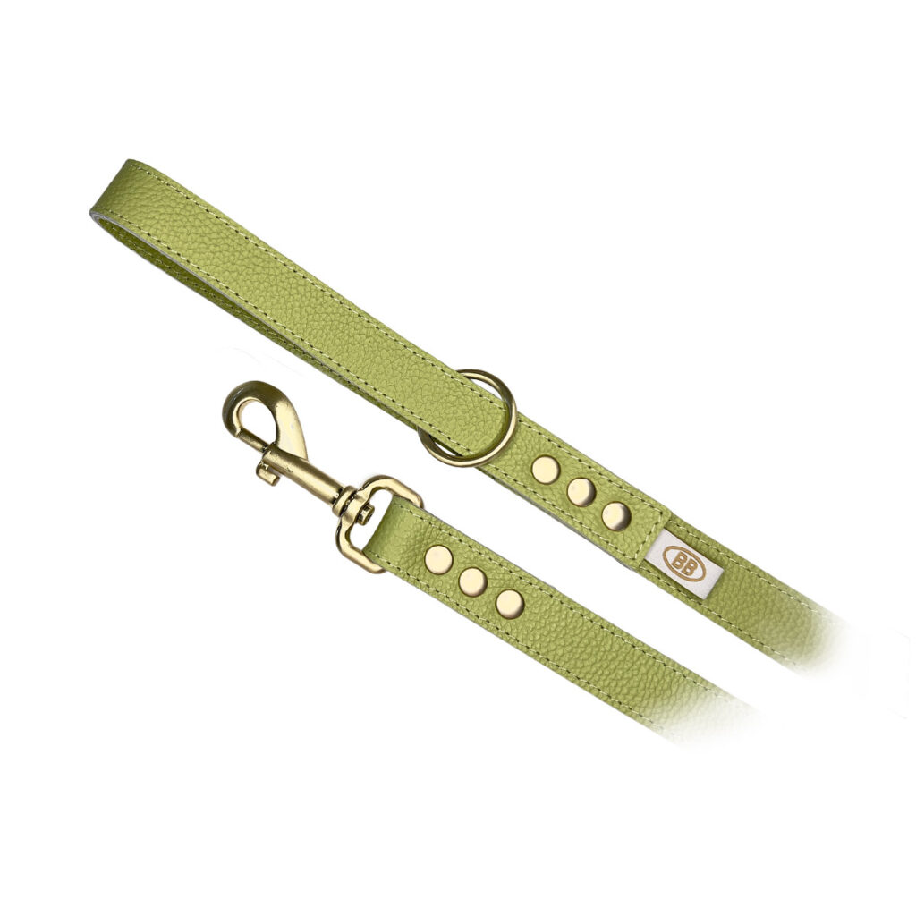 buddy-belts-leather-leash-three-quarter-inch-limited-pistachio