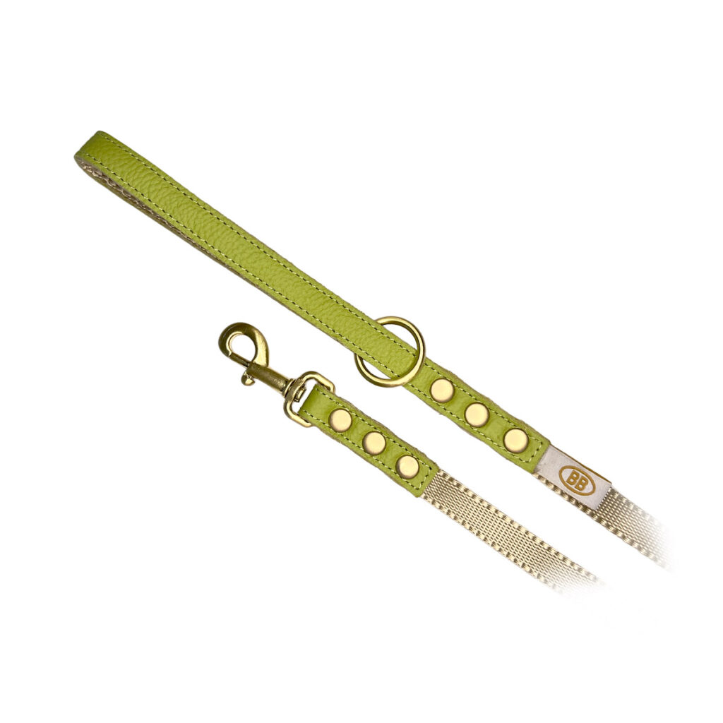 buddy-belts-nylon-accent-leash-half-inch-limited-pistachio