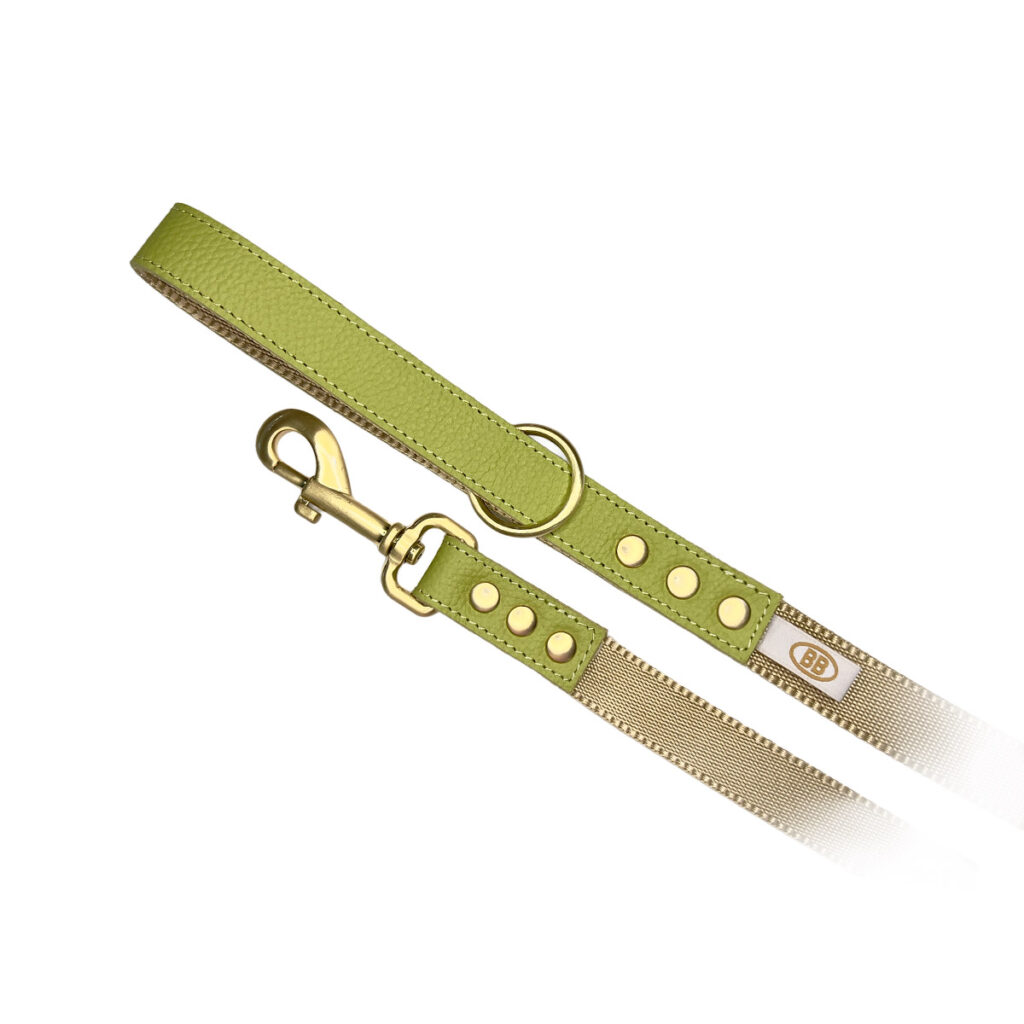 buddy-belts-nylon-accent-leash-three-quarter-inch-limited-pistachio