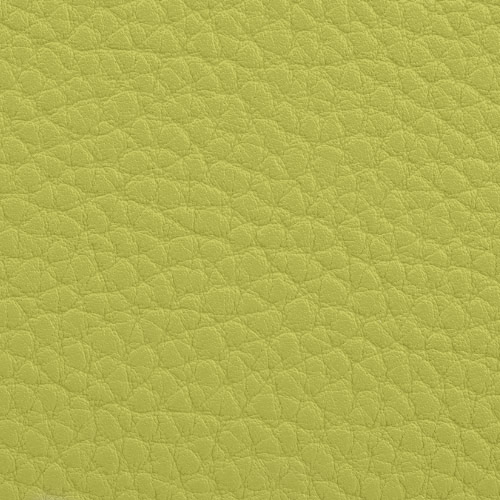 shop-by-pistachio